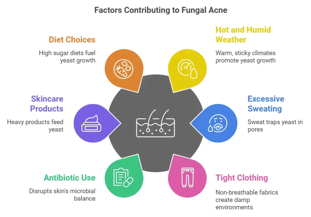 factors contributing ti fungal acne