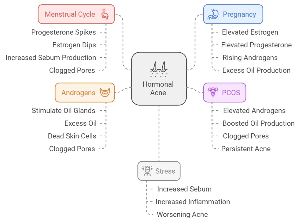 Hormonal Fluctuations regarding hormonal acne